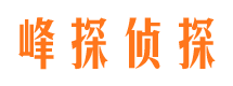 开封峰探私家侦探公司